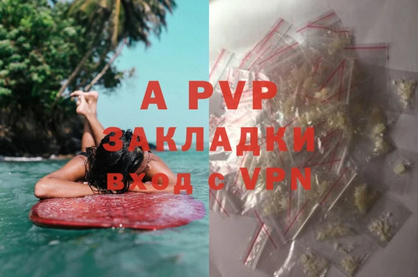 стафф Саяногорск