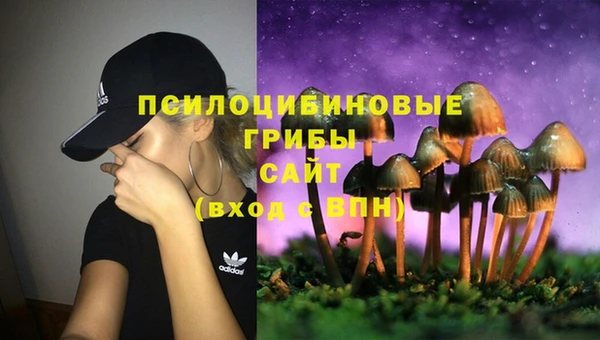 стафф Саяногорск