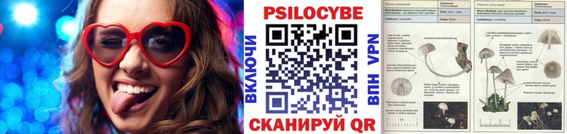 Псилоцибиновые грибы Magic Shrooms  сайты даркнета официальный сайт  Пугачёв 